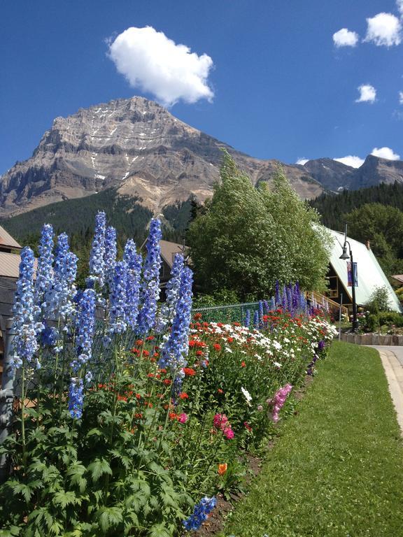 Canadian Rockies Inn - Adults Only Філд Екстер'єр фото